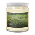 Rising Reflection — The Rising · Soy Candle
