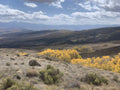 Mountain Gold fine-art print