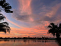 Palms Afterglow fine-art print