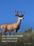 Rising Reflection — Never Been Too Much poster