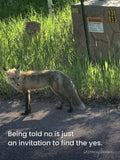 Rising Reflection — Find The Yes poster