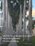 Rising Reflection — Where The Yes Is Hiding poster