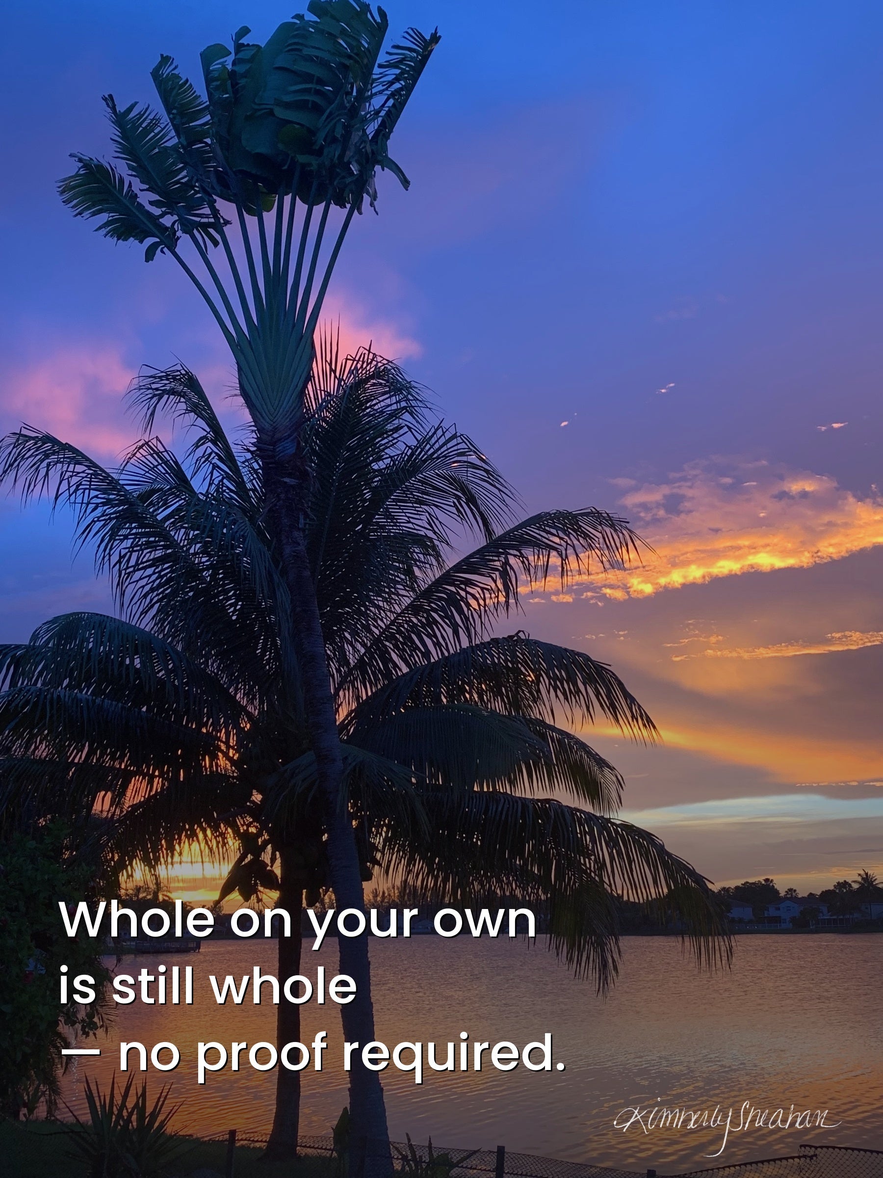 Rising Reflection — Still Whole poster