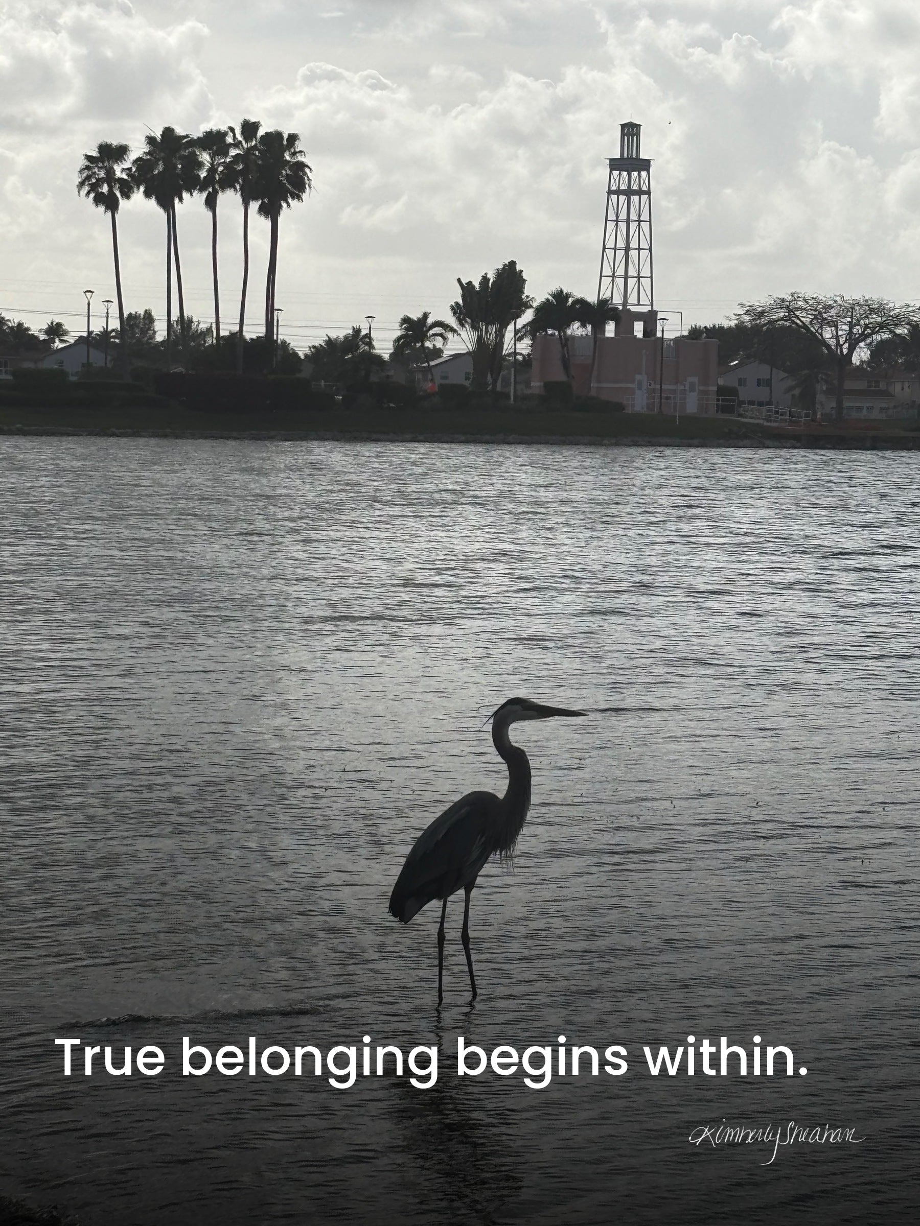 Belonging — Rising Reflection journal