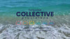 Turquoise Collective Provisions hero — ocean, real logo
